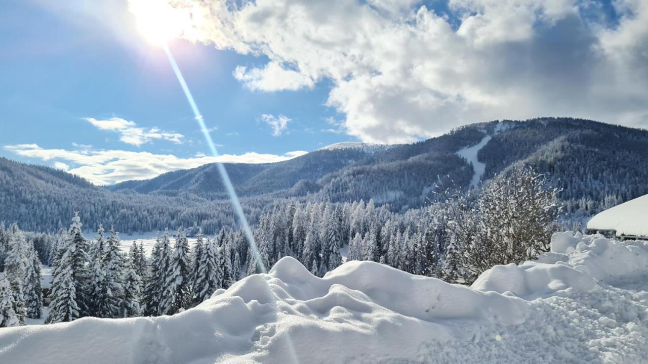 Almhuette Sunset - Flattnitz 1510M Villa Kültér fotó